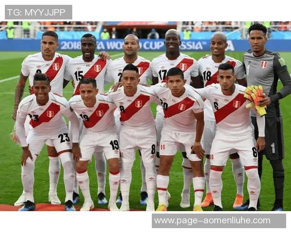 世预赛激战秘鲁与新西兰争夺晋级名额的精彩对决 世预赛激战秘鲁与新西兰争夺晋级名额的精彩对决