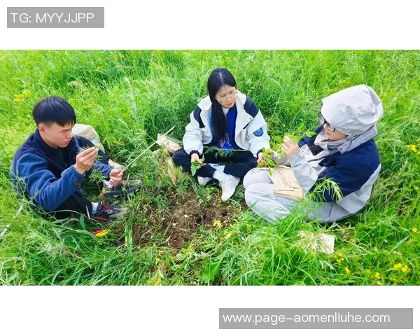 北京羽毛球队逆袭之路揭示团队精神与坚持不懈的力量 北京羽毛球队逆袭之路揭示团队精神与坚持不懈的力量